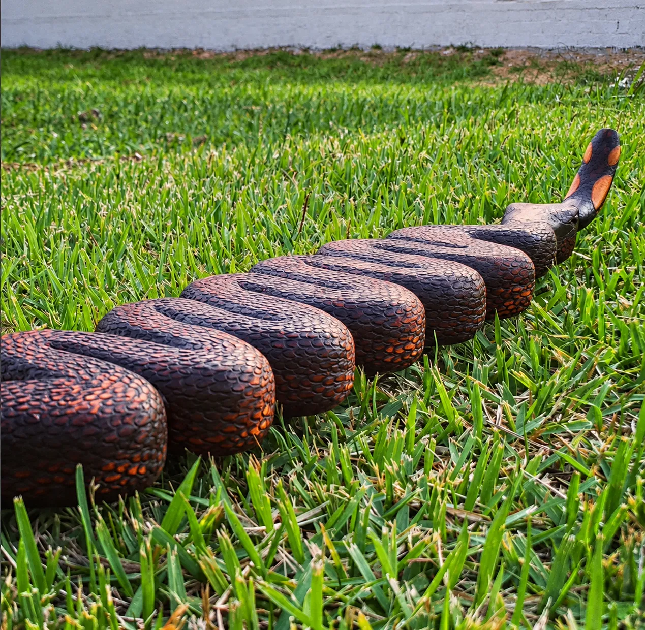 Tepi serpente — tepis, foto 5 de 8