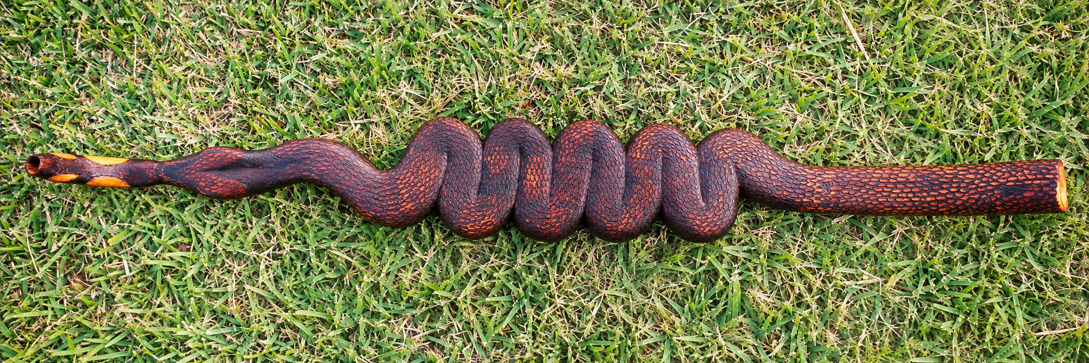 Tepi serpente — tepis, foto 8 de 8