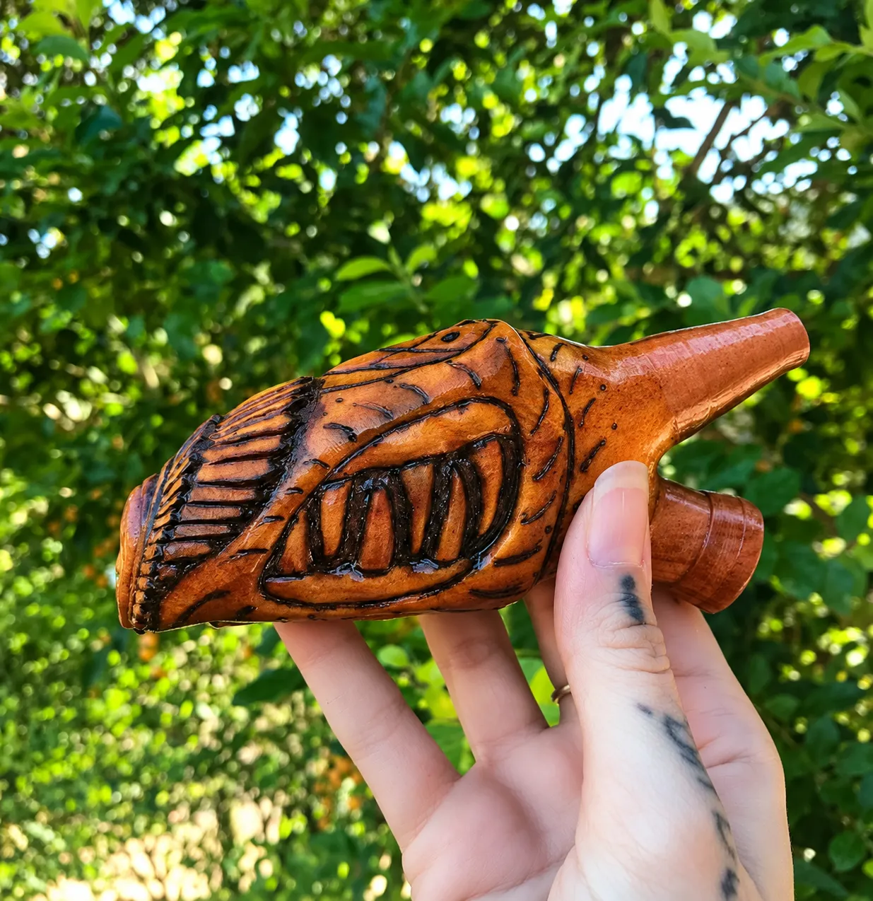 Kuripe 6 — kuripes, foto 1 de 1